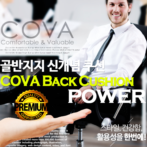 골반지지 쿠션 COVA 등쿠션